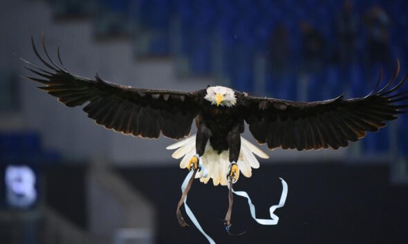 lazio udinese olympia