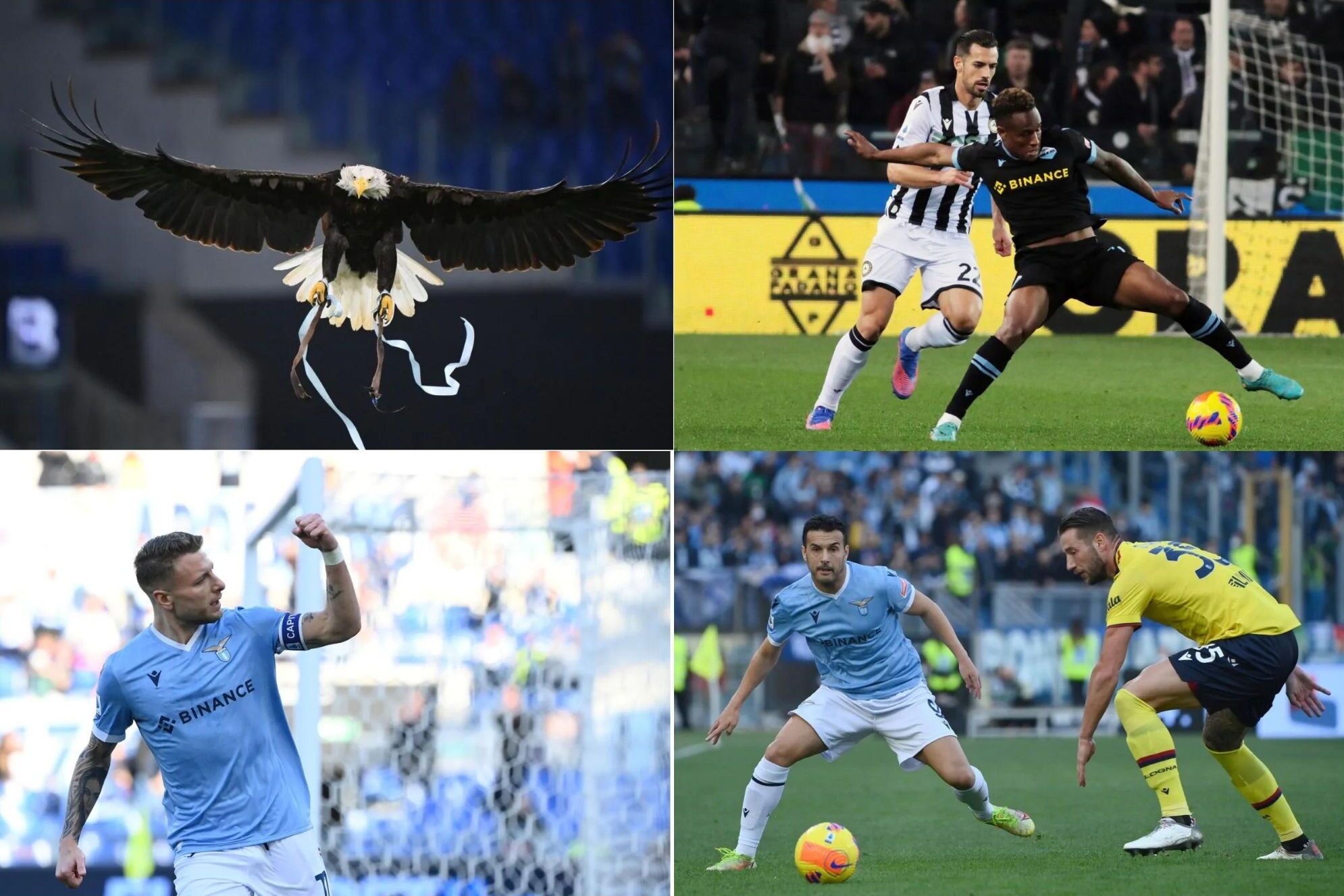 lazionews-lazio-news-della-giornata-immobile-pedro-olympia-Cabral