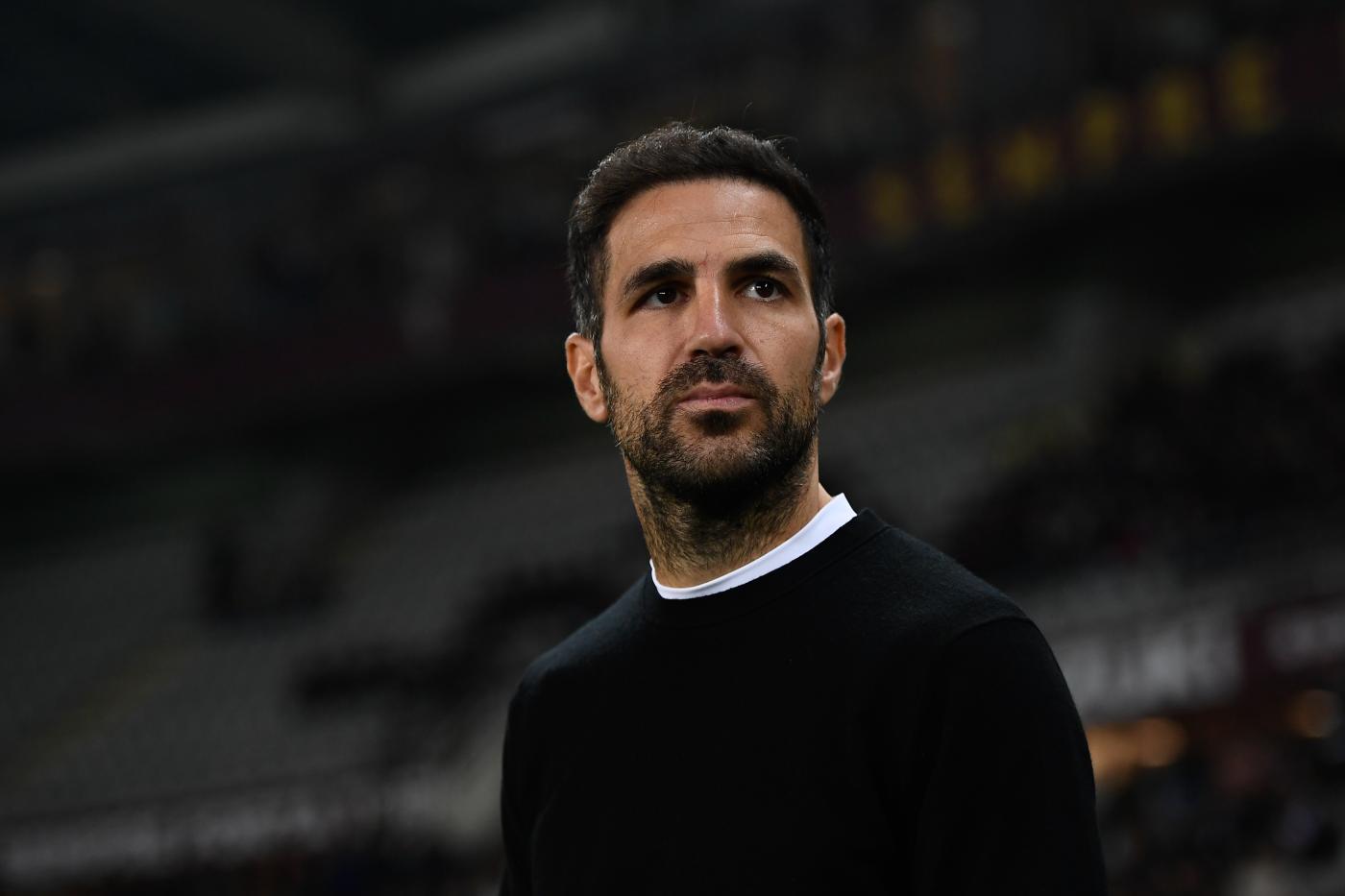 Cesc Fabregas, allenatore del Como