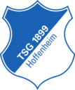 Hoffenheim Logo