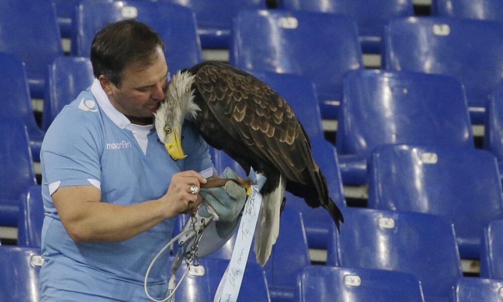 caso falconiere lazio chirurgo licenziato