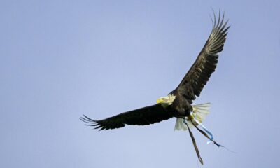 Tabellino Sassuolo Lazio Primavera